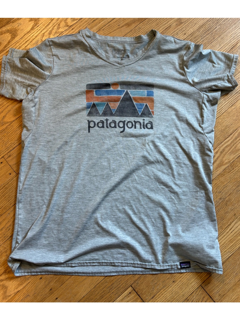 Patagonia Capilene Daily Tee